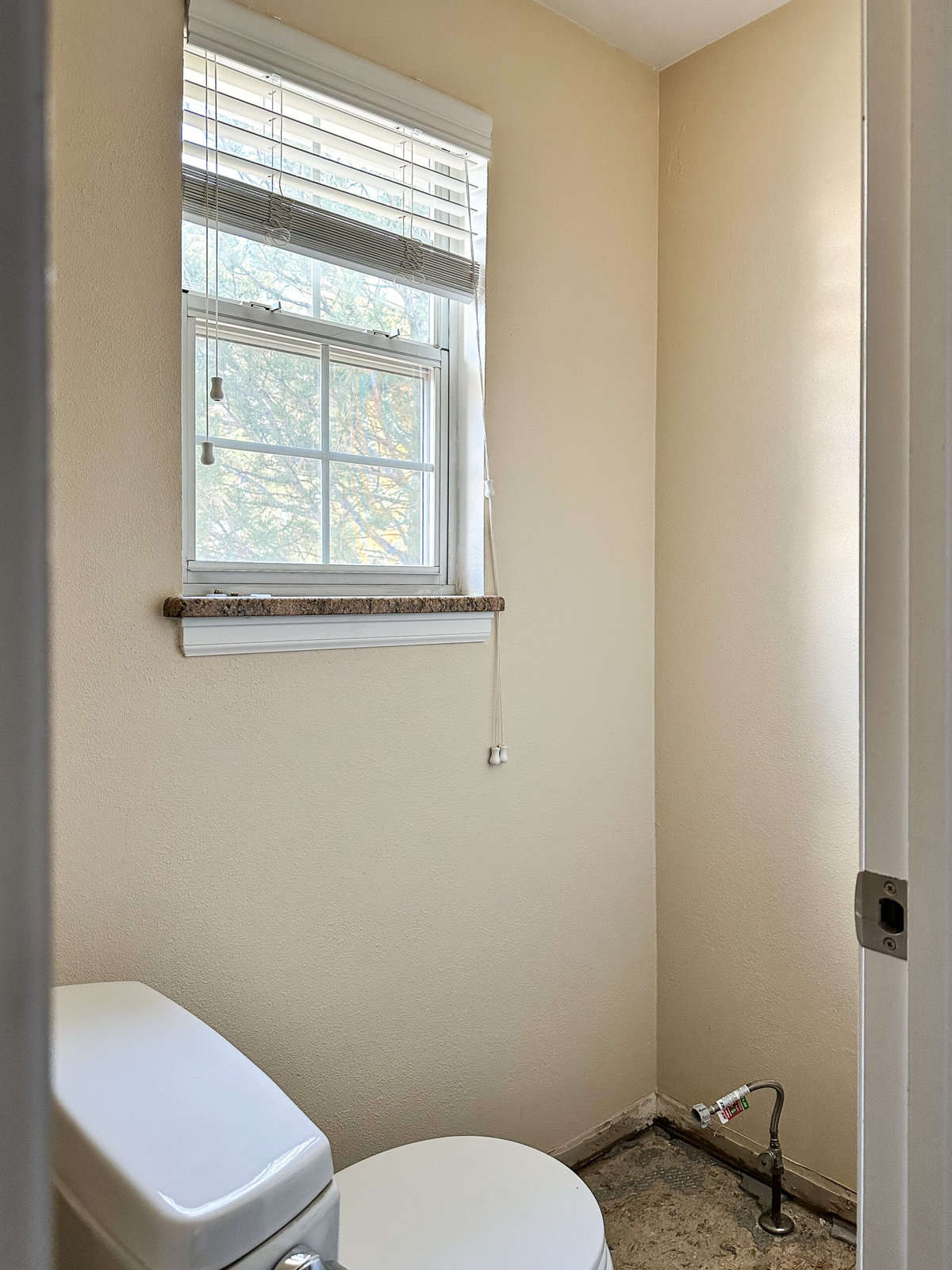 The existing water closet has a lot of natural light and will look great as a dark and moody space