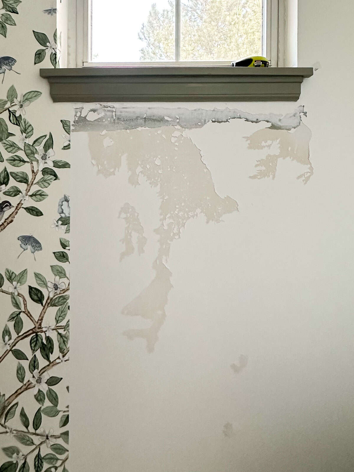 chinoiserie wallpaper mural peel and stick